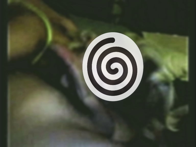 Das harte Leben einer Ehehure ...
 #92898652