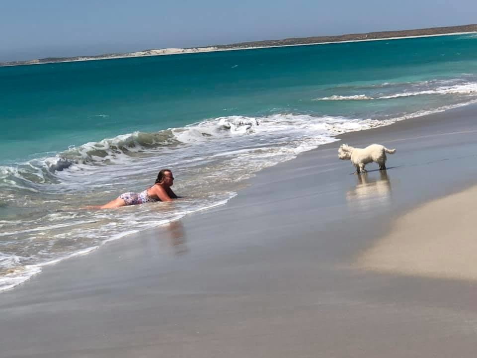 (44) 水着
 #80889661