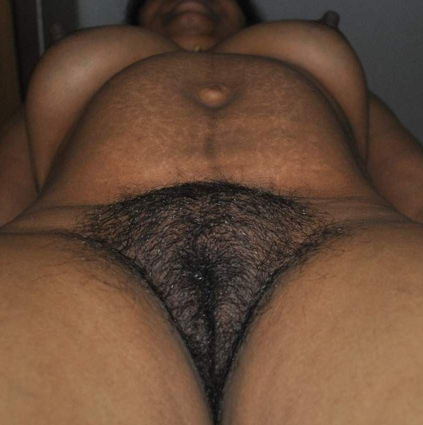 Desi Plumpers Hairy Pussy Indian #91243878