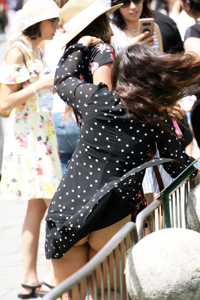 Windy #89613150