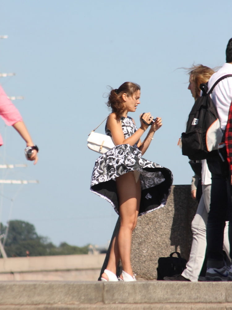 Windy #89613555
