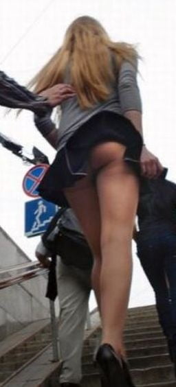 Windy #89613563