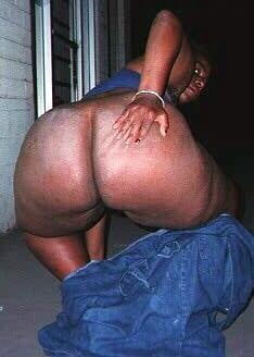 Zorras negras culonas
 #92046084