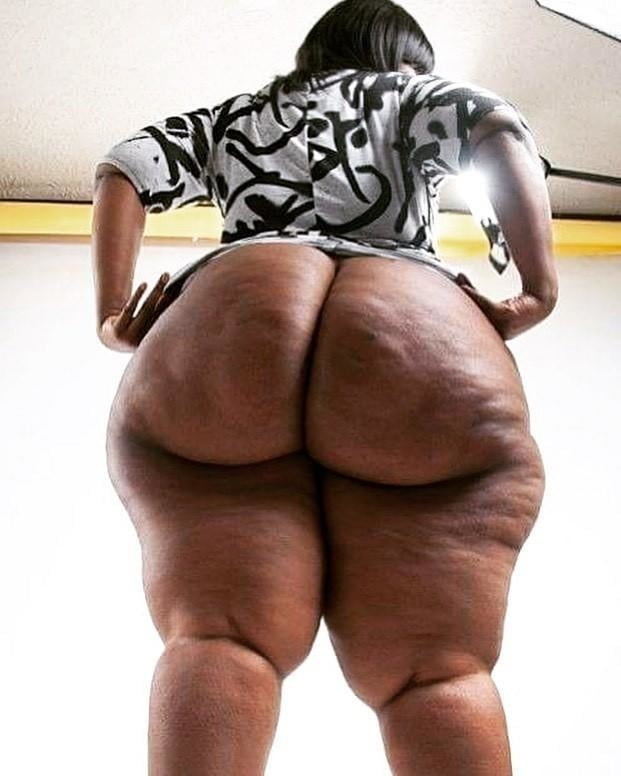 Zorras negras culonas
 #92046094