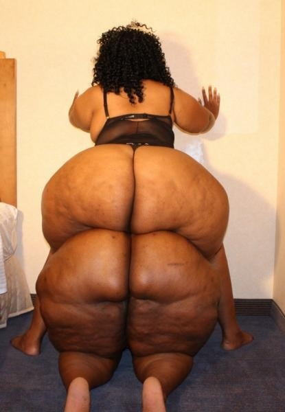 Zorras negras culonas
 #92046204