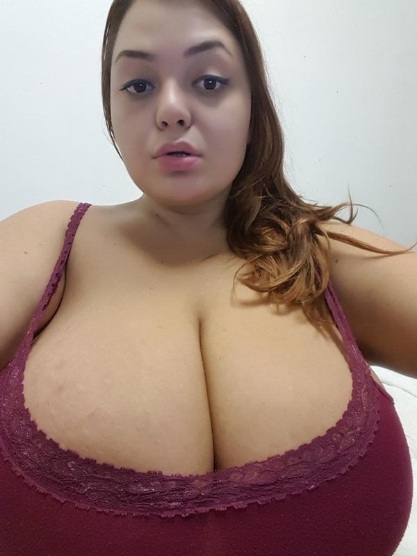 Cerdas culonas vol 18 #88266794