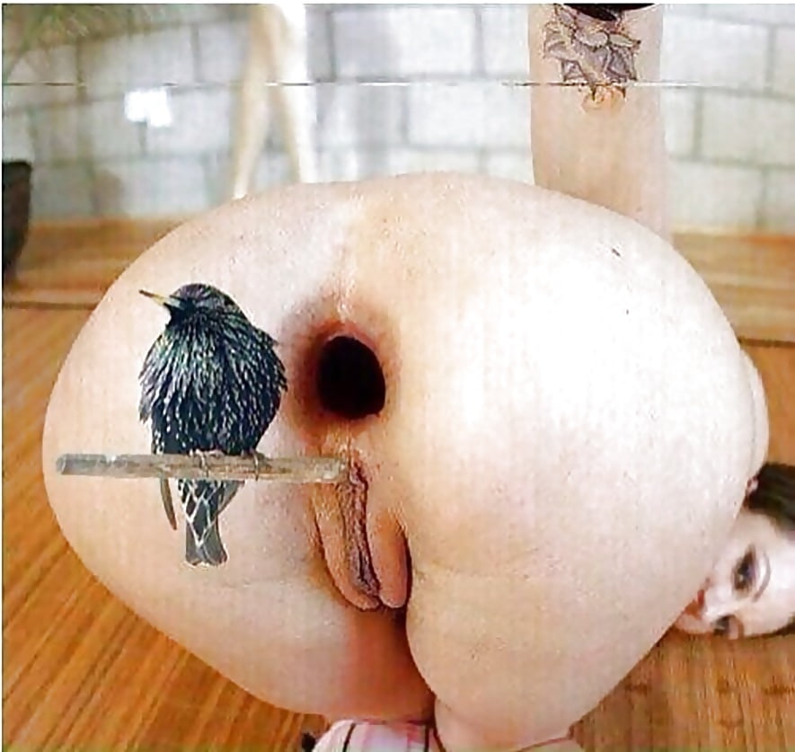 Sexy Bilder 372
 #87609540