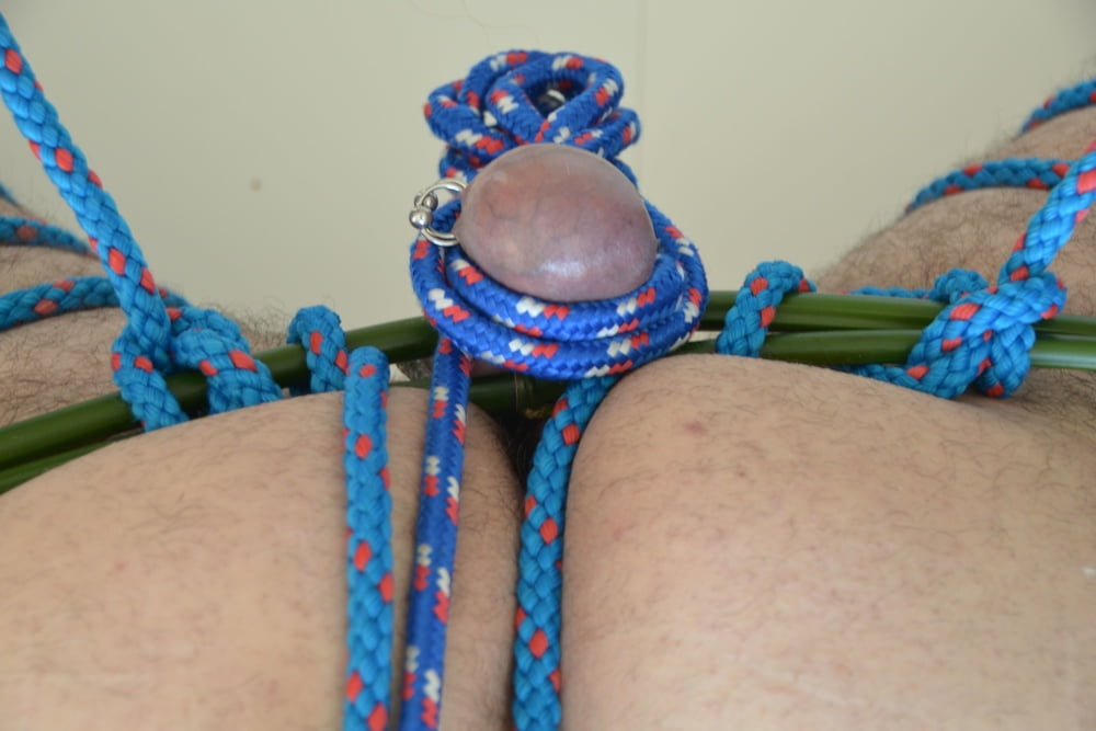 Bounded Shibari cuckold in rope #103668014