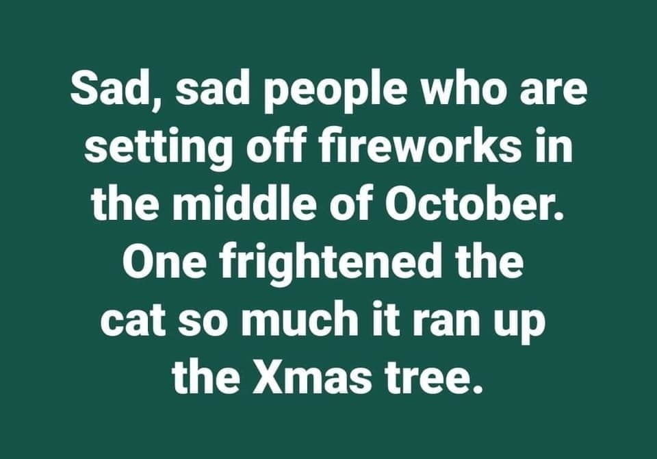 Captions &amp; Funnies 6 #94286109