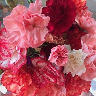 インスタ映えする18歳
 #100325863