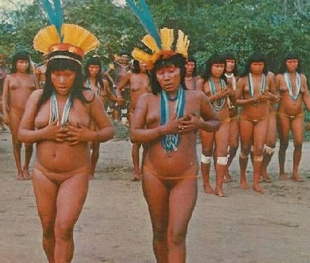 Tribe #104742453