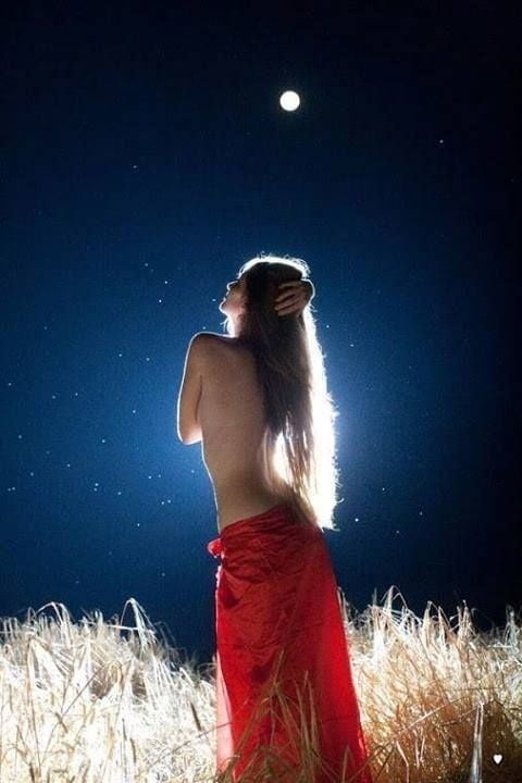 ファンタスティック・ワンダーズ 30
 #91493634