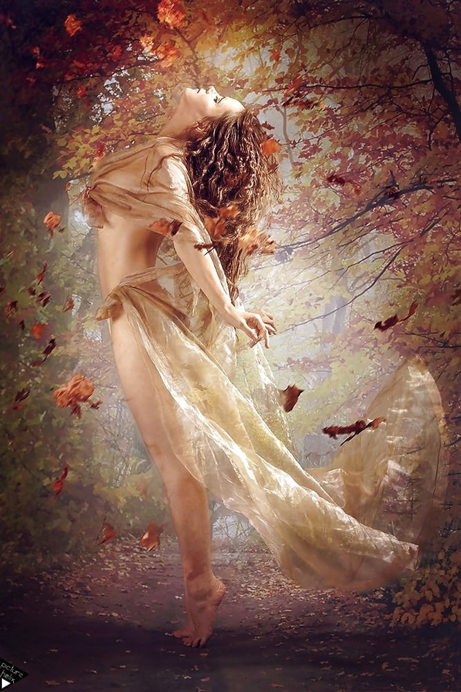 ファンタスティック・ワンダーズ 30
 #91493693