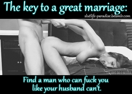 More wives #94093310