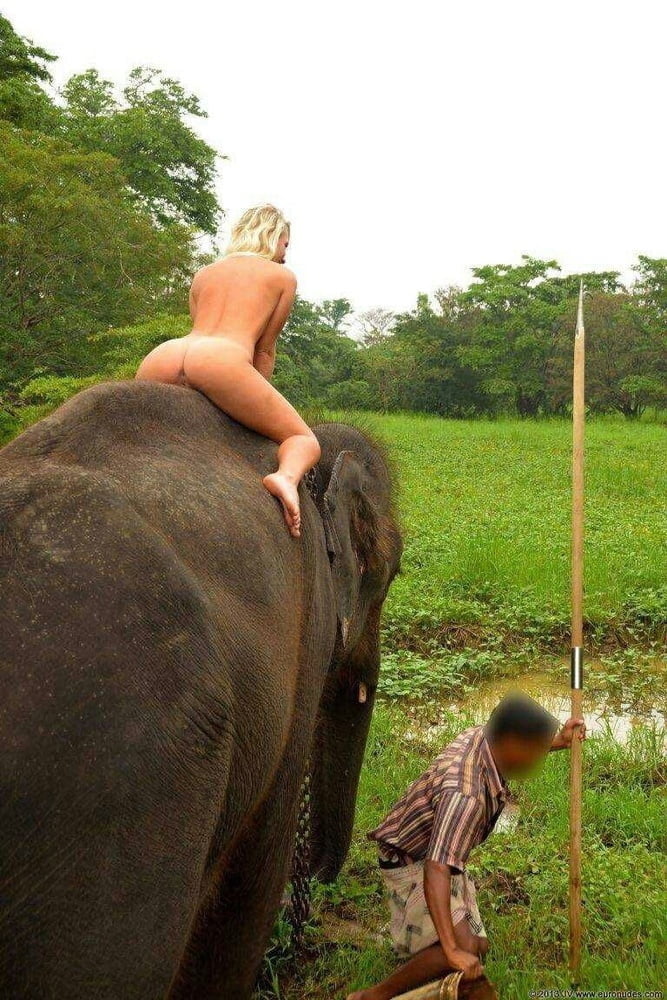 Elephant with naked blonde Woman #88400226