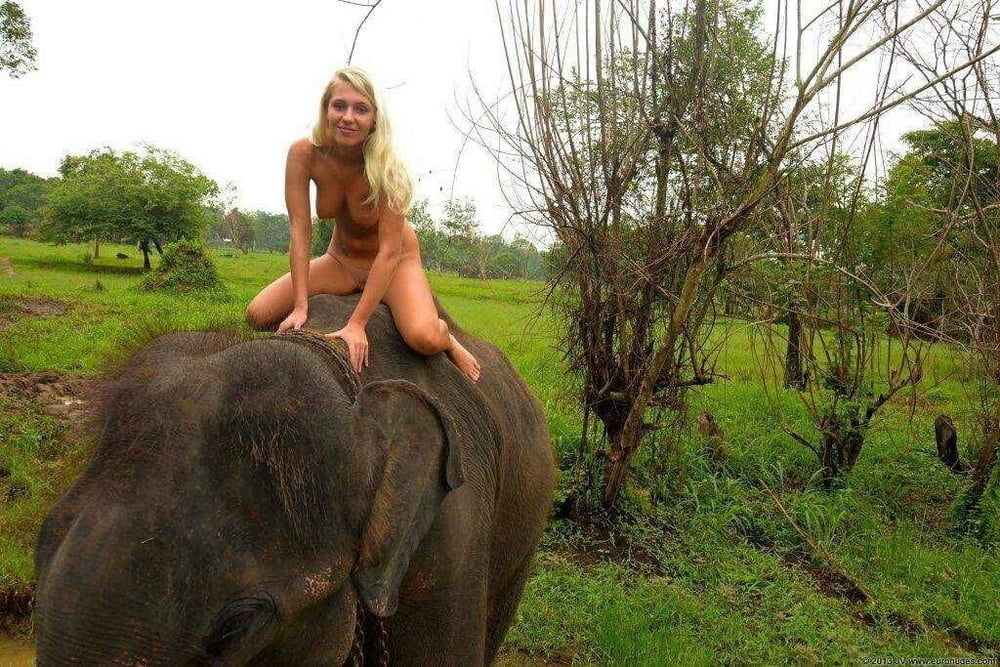 Elephant with naked blonde Woman #88400244