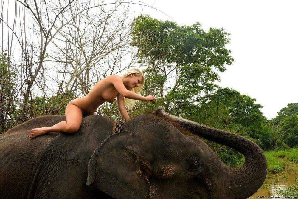 Elephant with naked blonde Woman #88400261