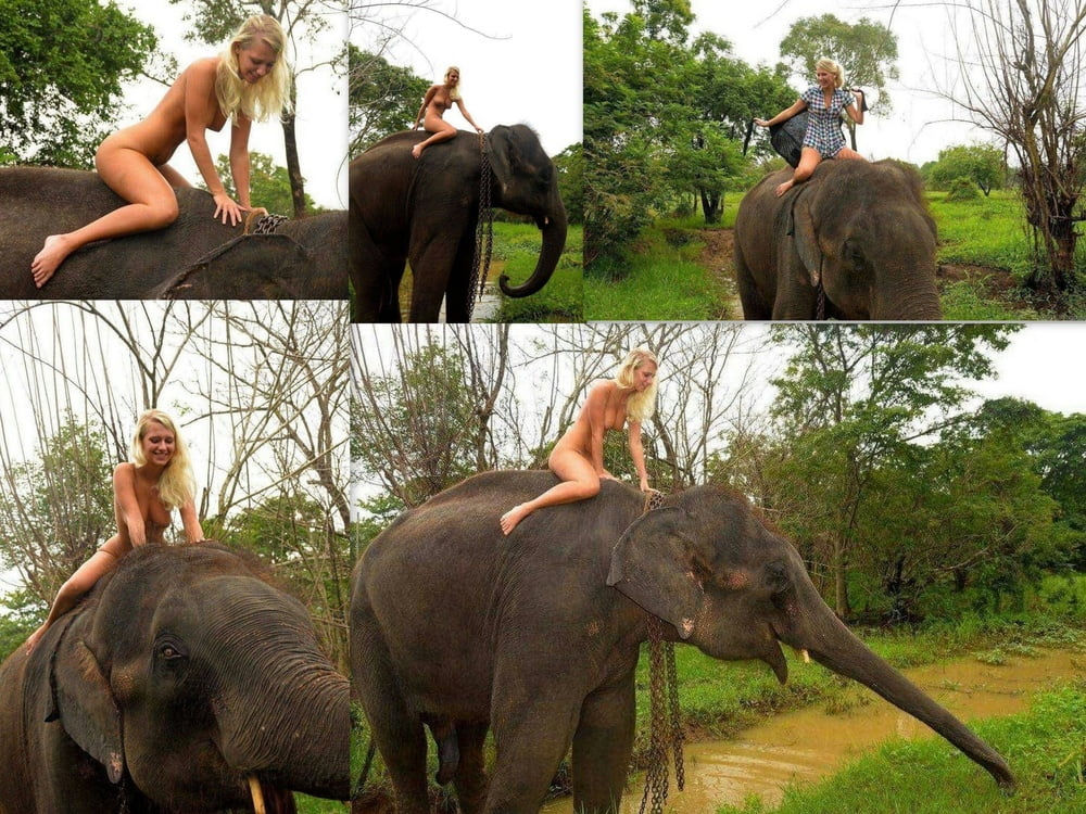 Elephant with naked blonde Woman #88400267