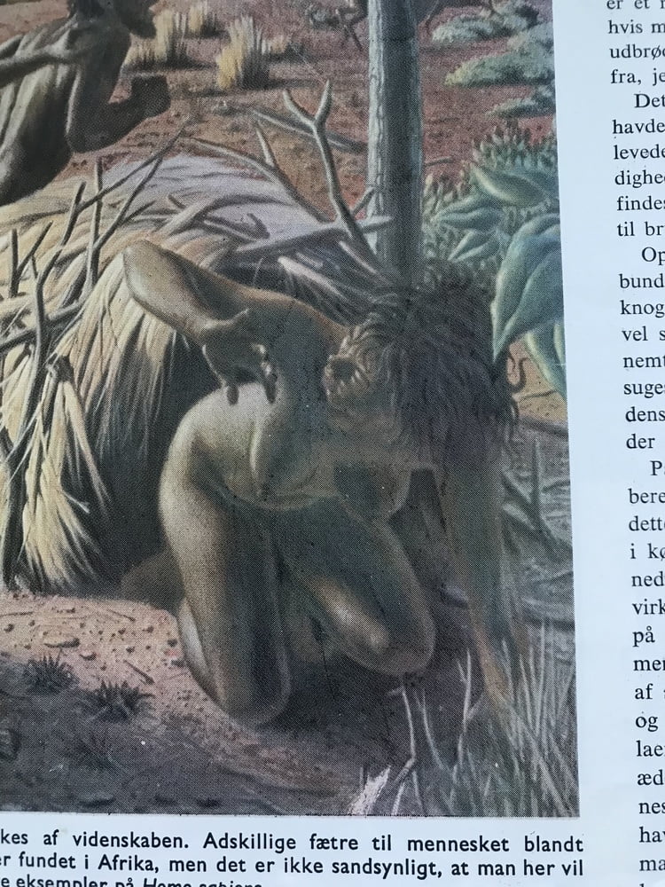 Drawings from an old history book #88816209