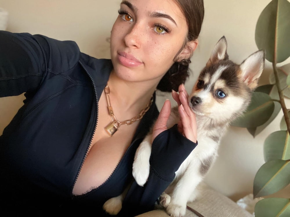 ブラックキューティーズ Vol.21
 #102644379