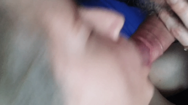 GIF TR7S MAGNIFIQUE #101708457