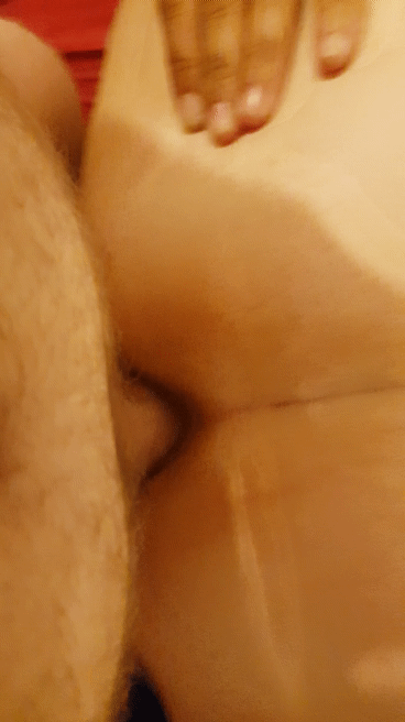 GIF TR7S MAGNIFIQUE #101708461