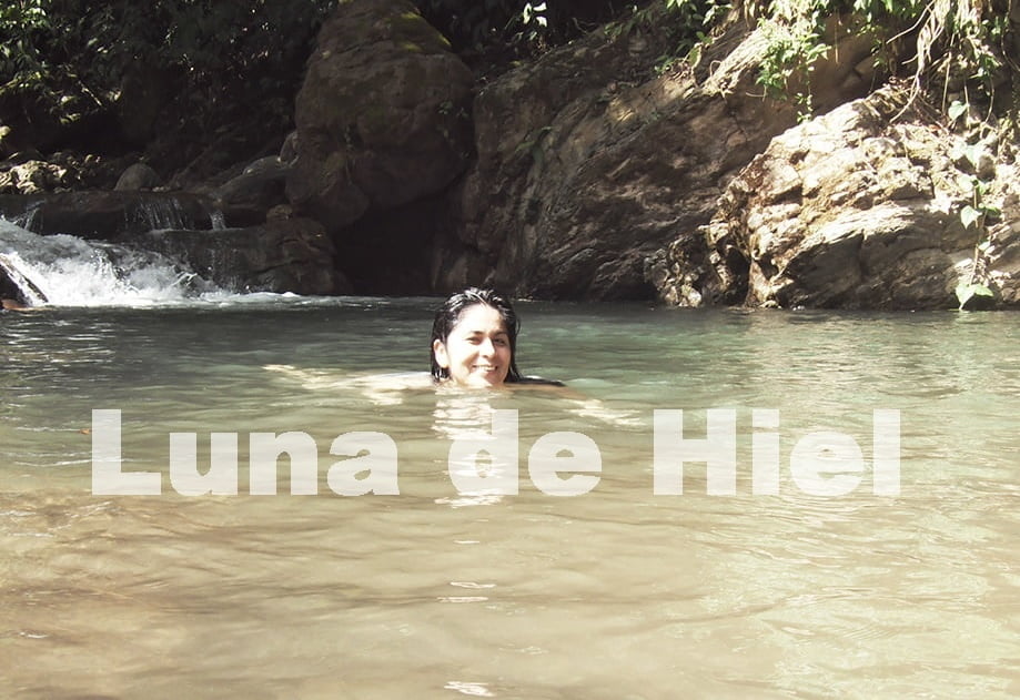 インドの大きなおばさんたちのお尻。
 #95107445