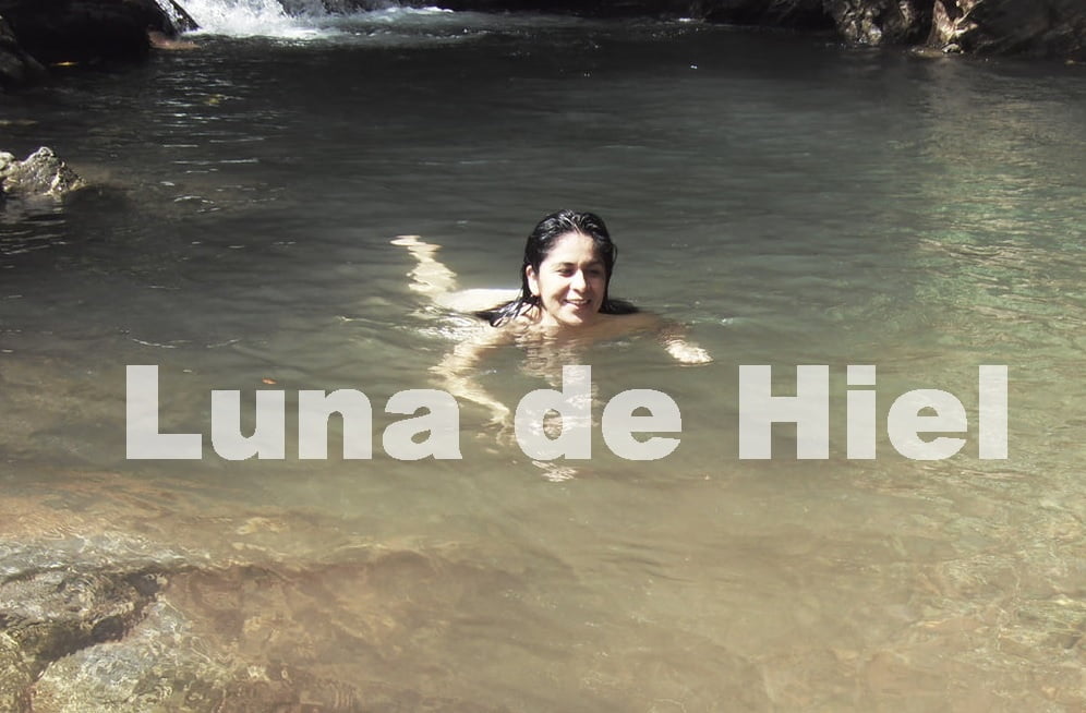 インドの大きなおばさんたちのお尻。
 #95107447