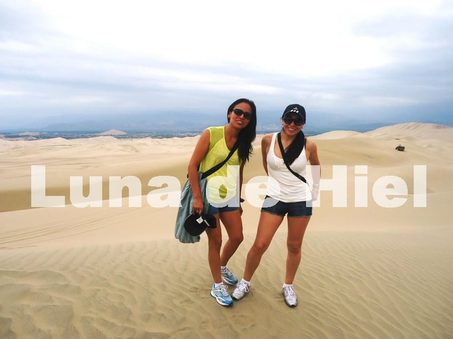 インドの大きなおばさんたちのお尻。
 #95107656