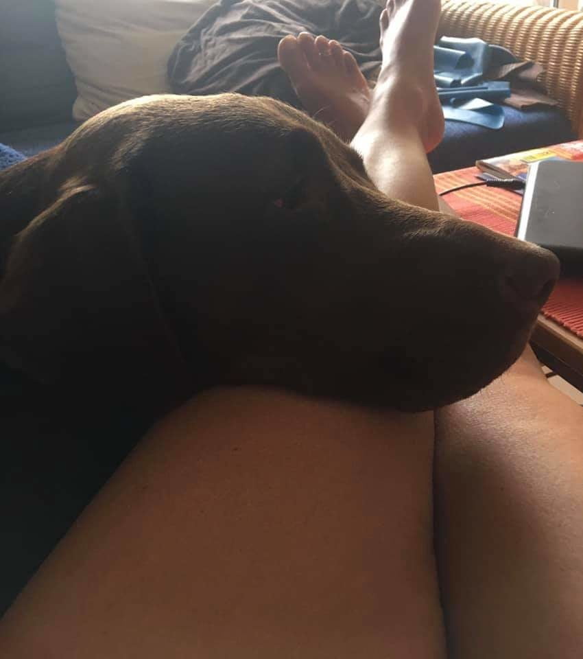 Reife enge lustvolle frauen
 #92128249