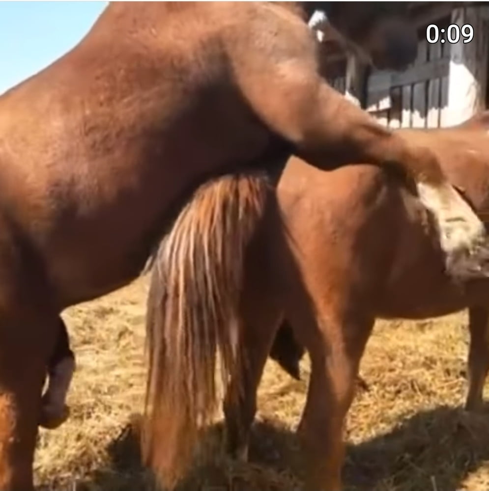 Reife enge lustvolle frauen
 #92128528