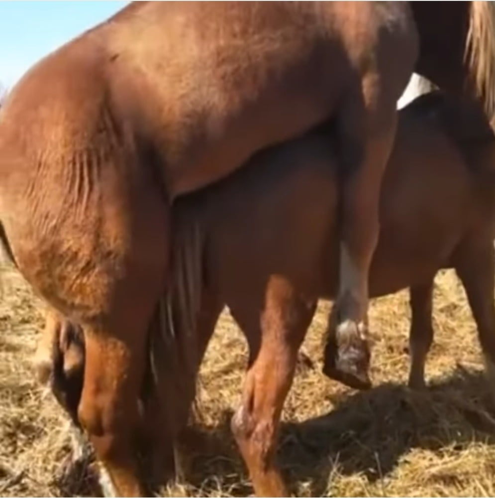 Reife enge lustvolle frauen
 #92128531