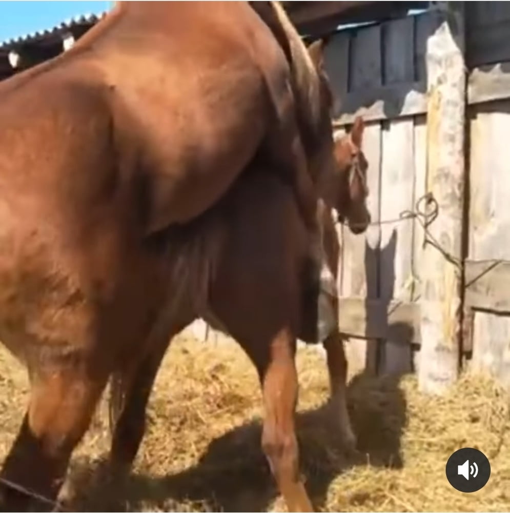 Reife enge lustvolle frauen
 #92128534