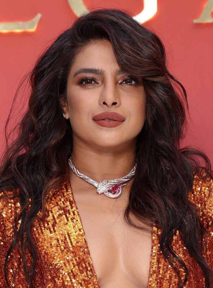 Priyanka Chopra desnuda #109490169