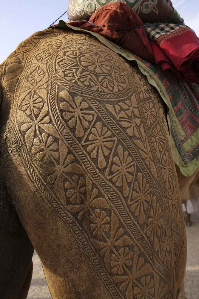 Color Geek #99573958