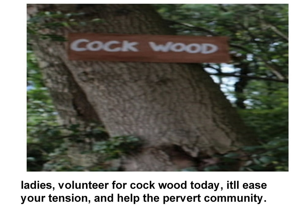 Cockwood episodio 16
 #89841143