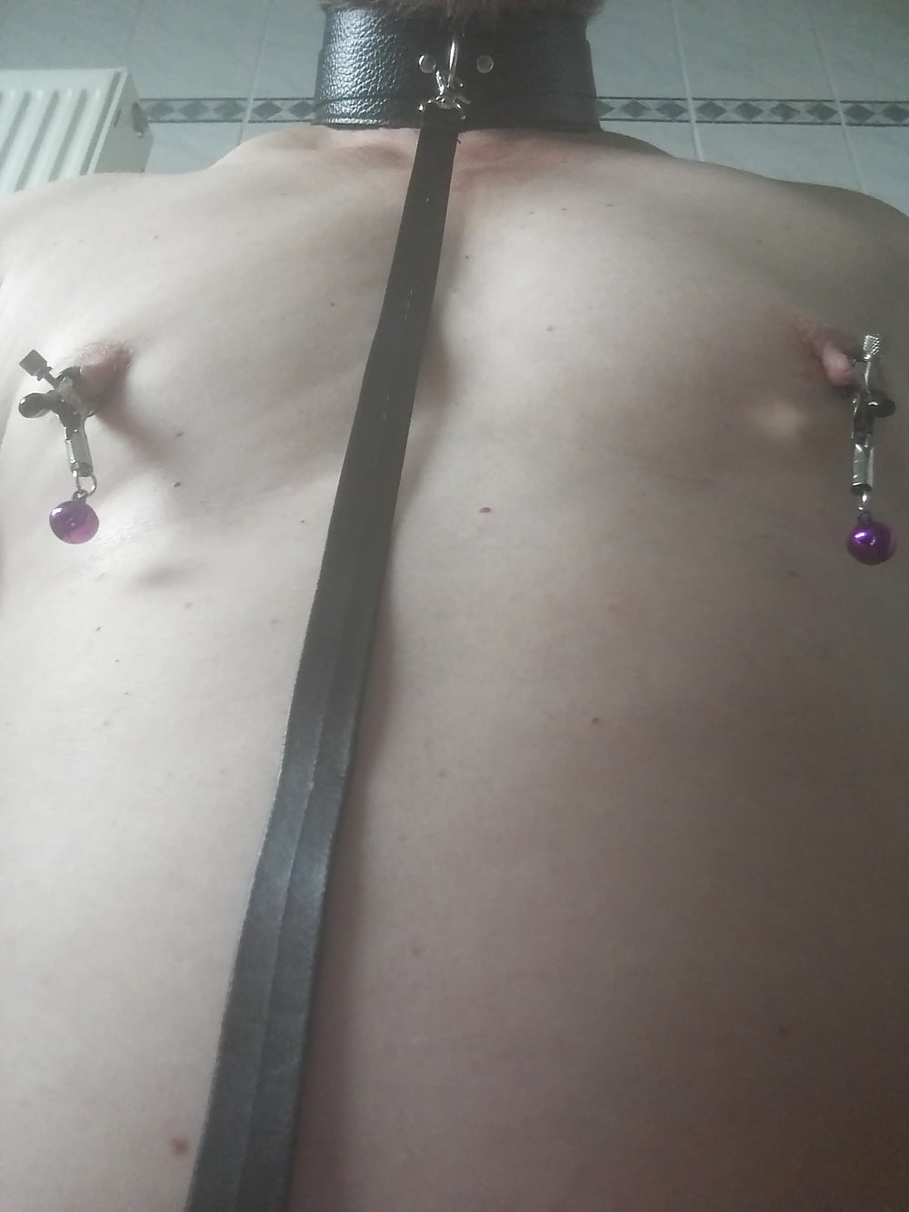 Nippleplay with Clamps #106839670