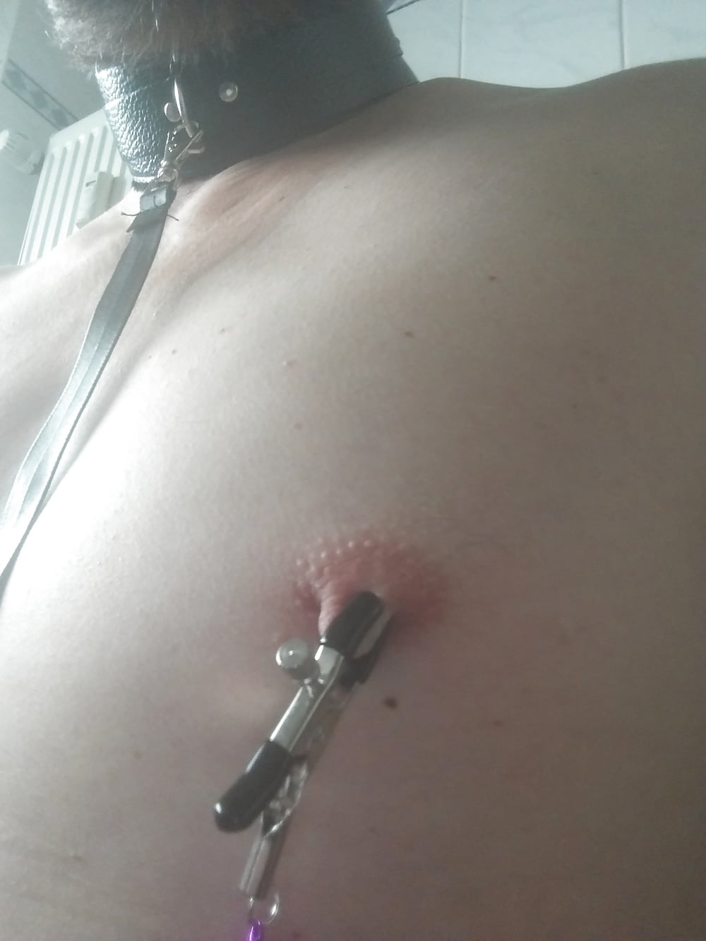 Nippleplay with Clamps #106839671