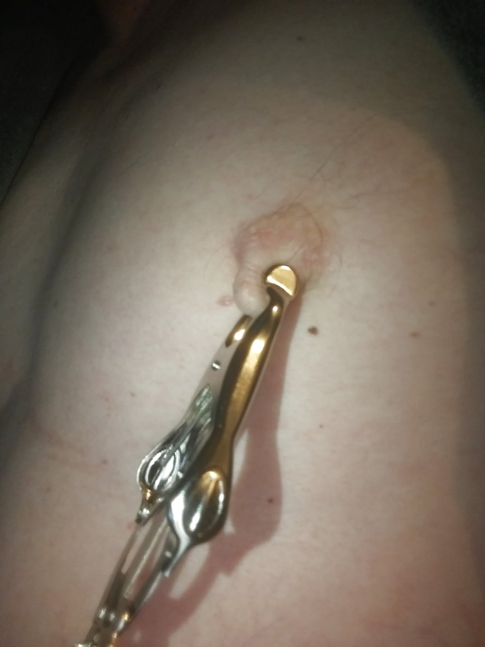 Nippleplay with Clamps #106839674