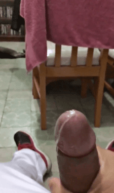 気に入ったGifs 8
 #93155646