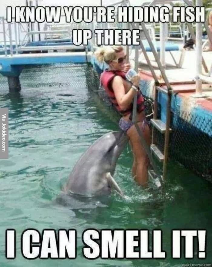 Some amusing pics #91994774