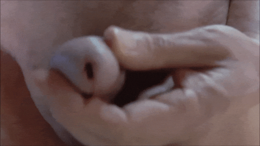 Tiny Little Clitty Shrinked Soft &amp; Hard #101048160