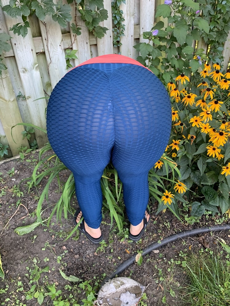 Femme qui jardine dans son pantalon transparent....no culotte.
 #81052598