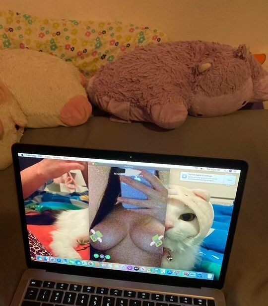 Fattestcat nackt #108358684