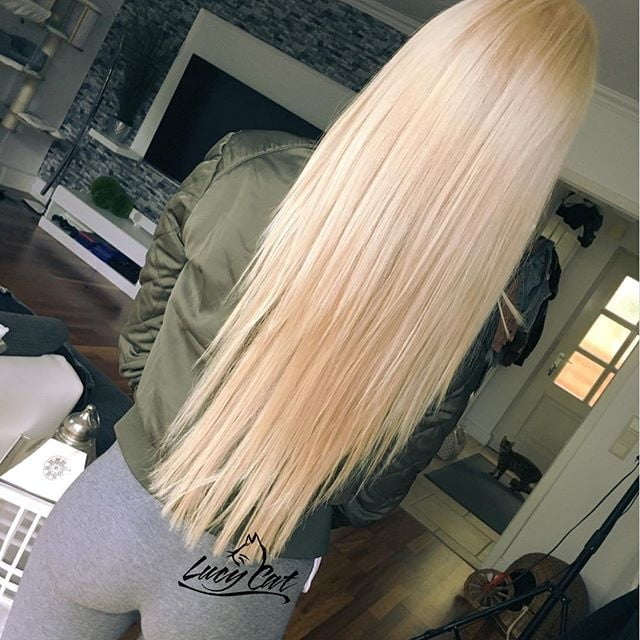 On Instagram- lucycatofficial #94830696