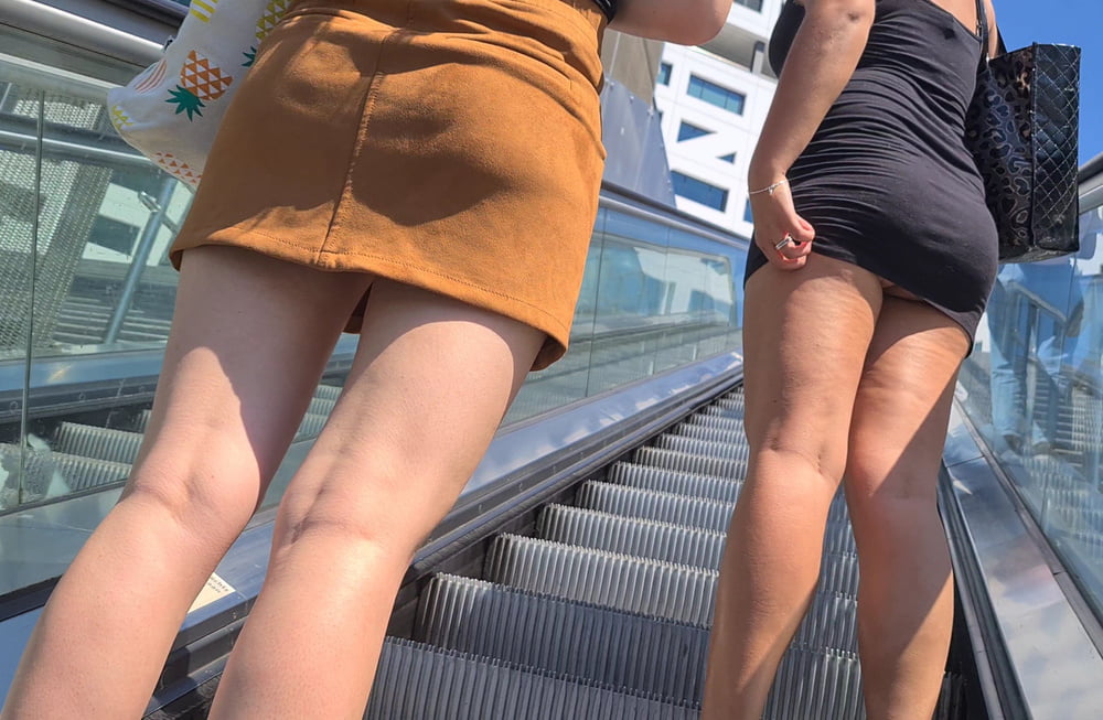 Upskirt und Arsch
 #92353245