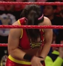 Bayley wwe mega Sammlung 2
 #99525749