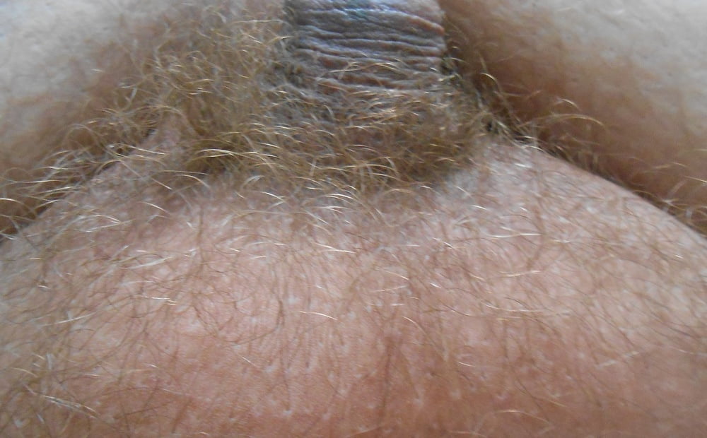 my tiny hairy dick before shaving #107094106