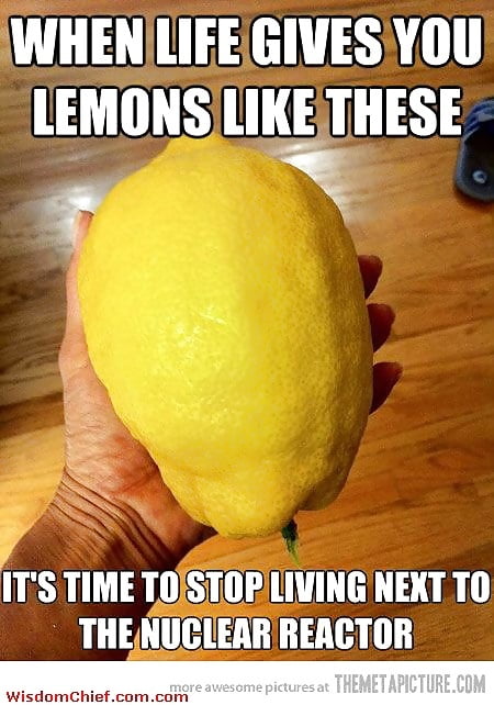 "人生がレモンを与えるとき...
 #101906995