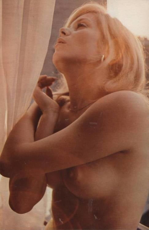 Pre digi camara pix 115
 #96896400